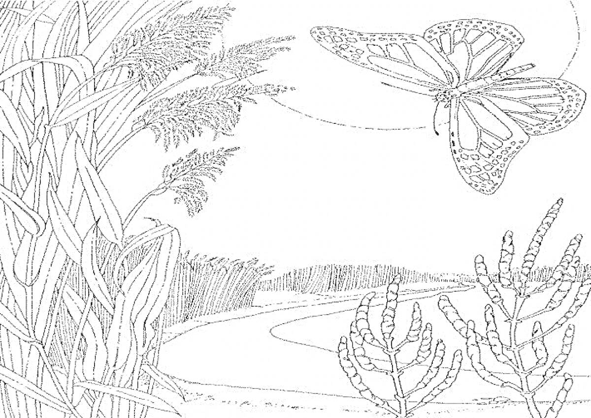 На раскраске изображено: Природа, Родной край, Трава, Река, Бабочка, Деревья, Поле, Растения
