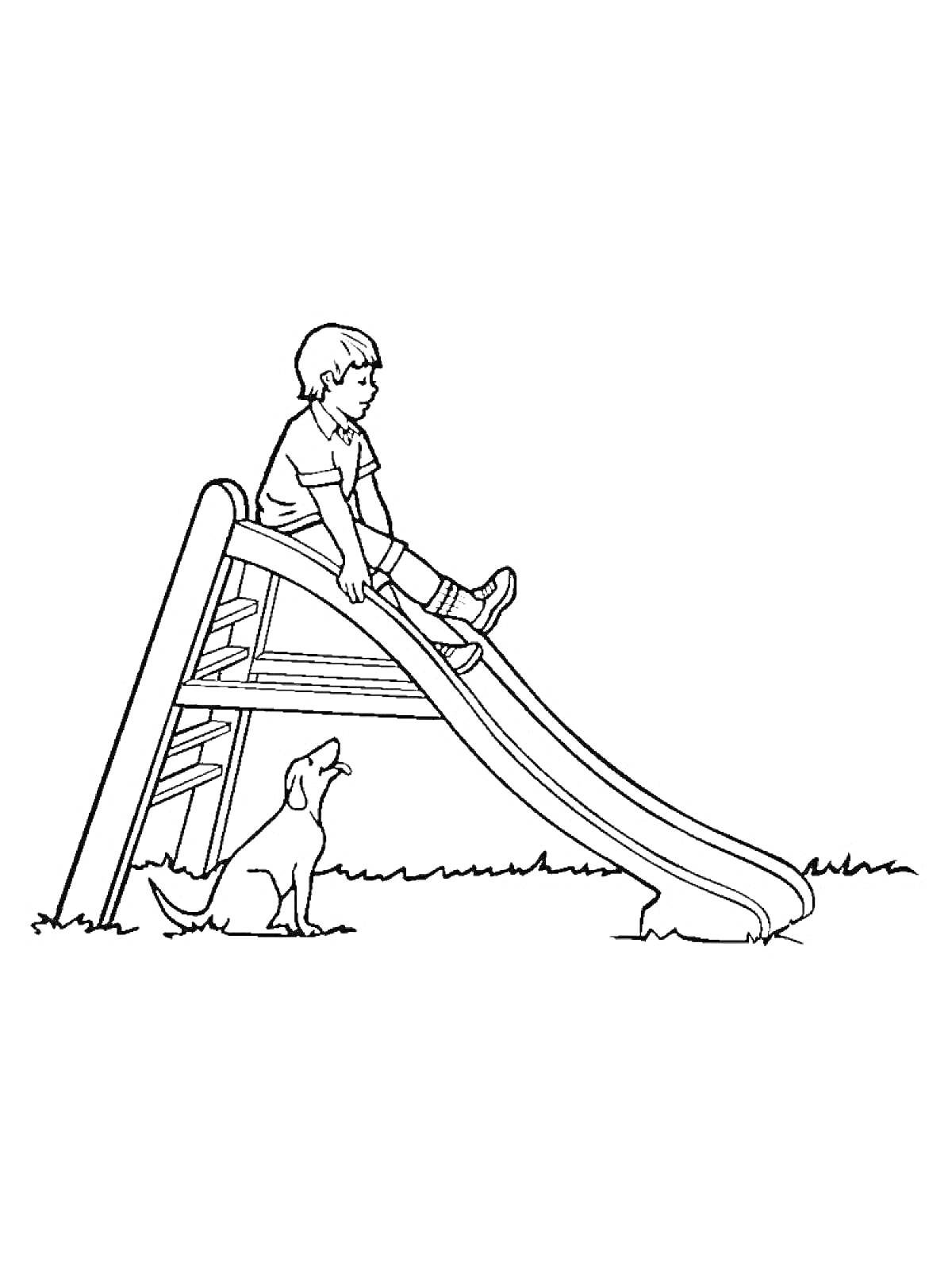 Раскраска Ребенок на горке с собакой на траве