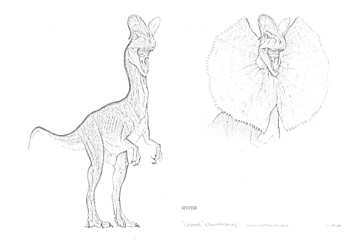 Раскраска Дилофозавр с раскрытым воротником и стоящий дилофозавр