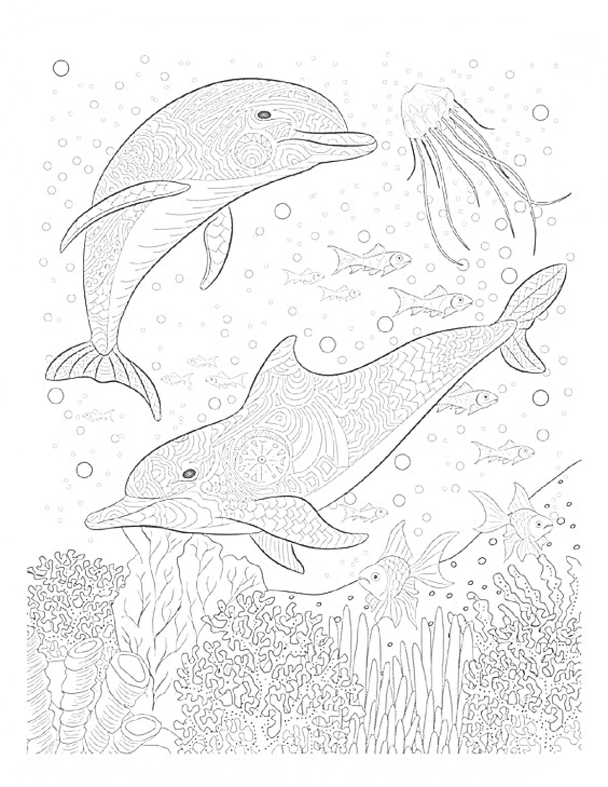 Раскраска Два дельфина среди подводного мира с медузой, кораллами и рыбами