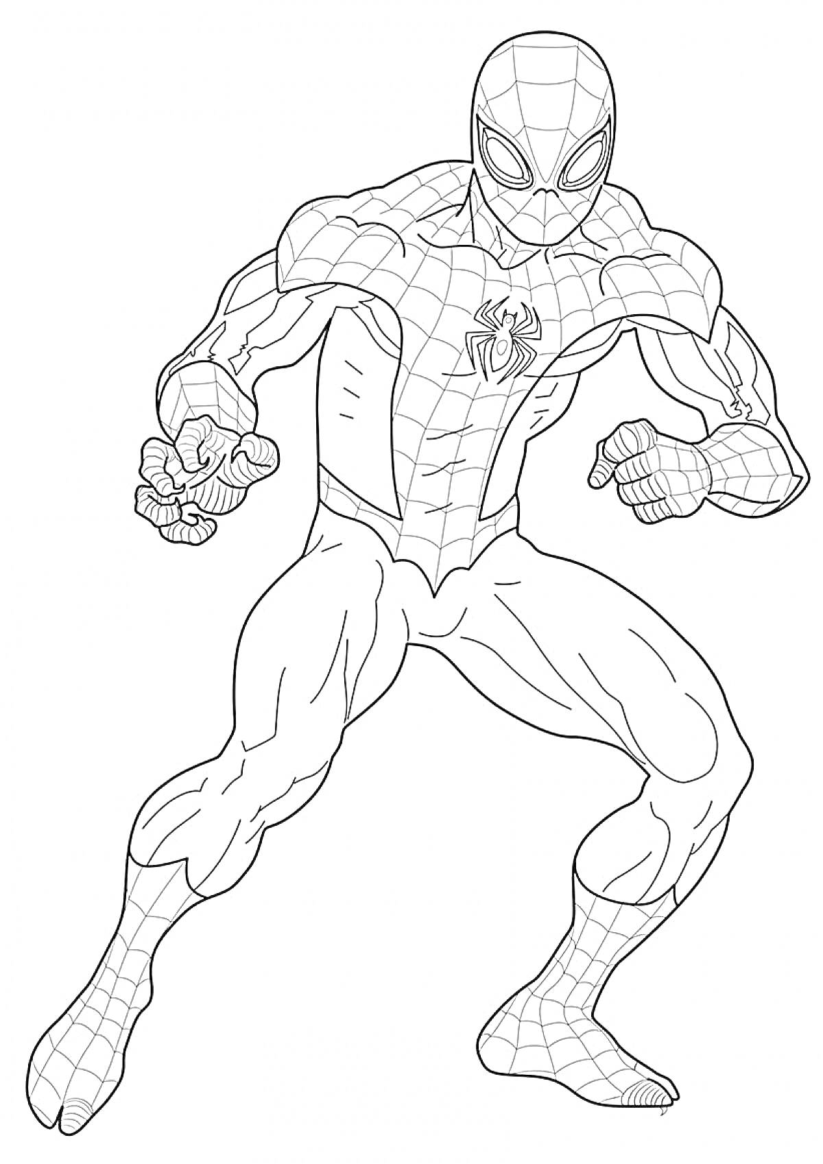Раскраска Человек-паук в полуприседе, в костюме с паутиной