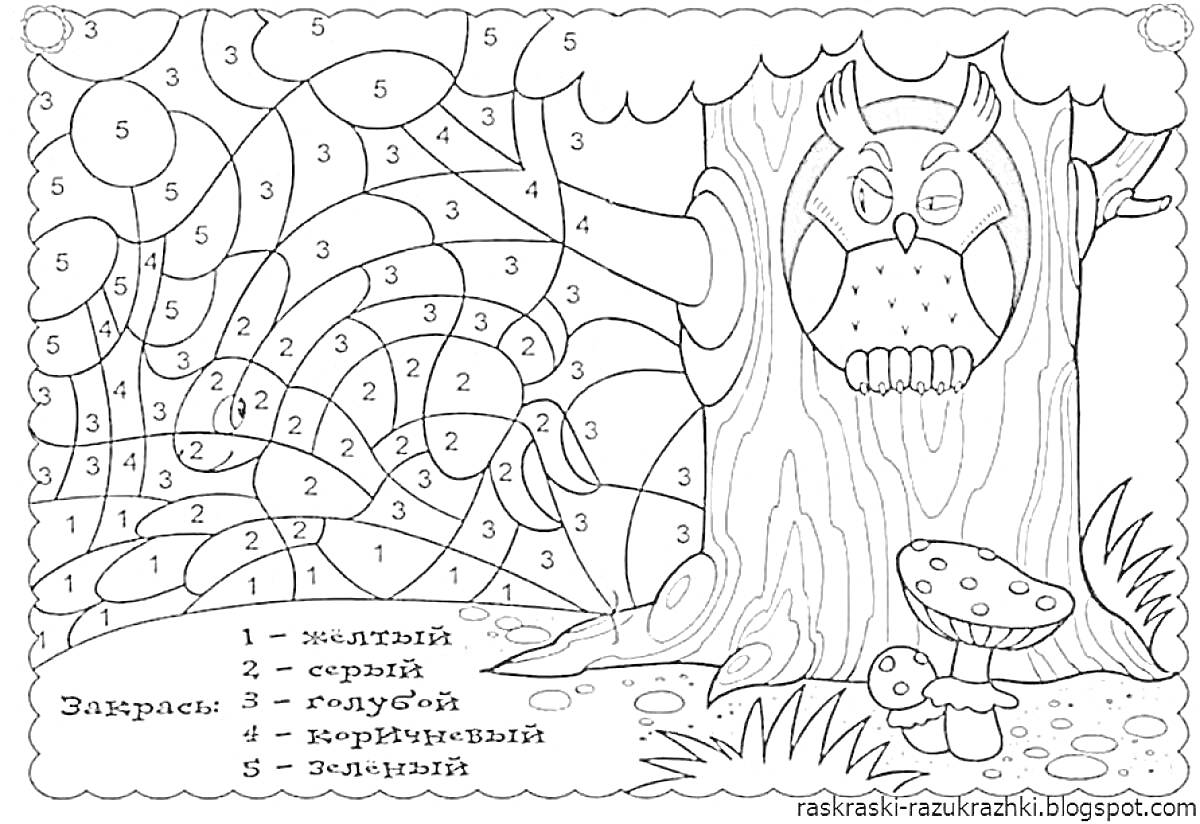 Раскраска Сова в дупле дерева, паутина и грибы