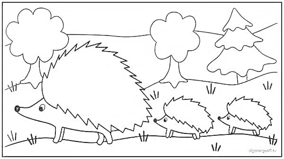 Раскраска Ежики на прогулке в лесу с деревьями
