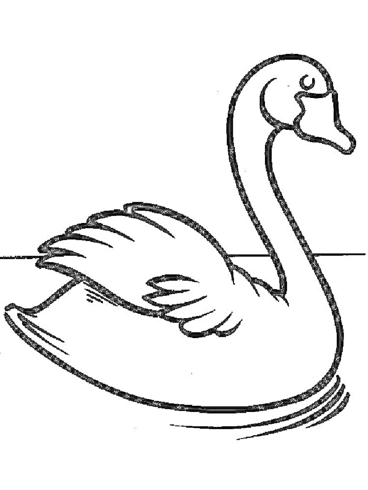 На раскраске изображено: Лебедь, Птица, Вода, Плавание