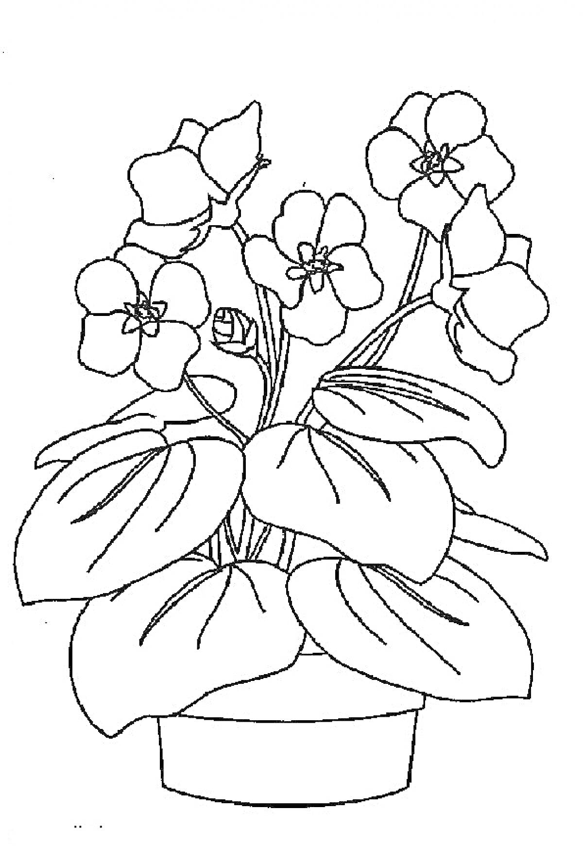 На раскраске изображено: Фиалка, Цветы, Листья, Для детей, Растения, Горшки, Контурные рисунки