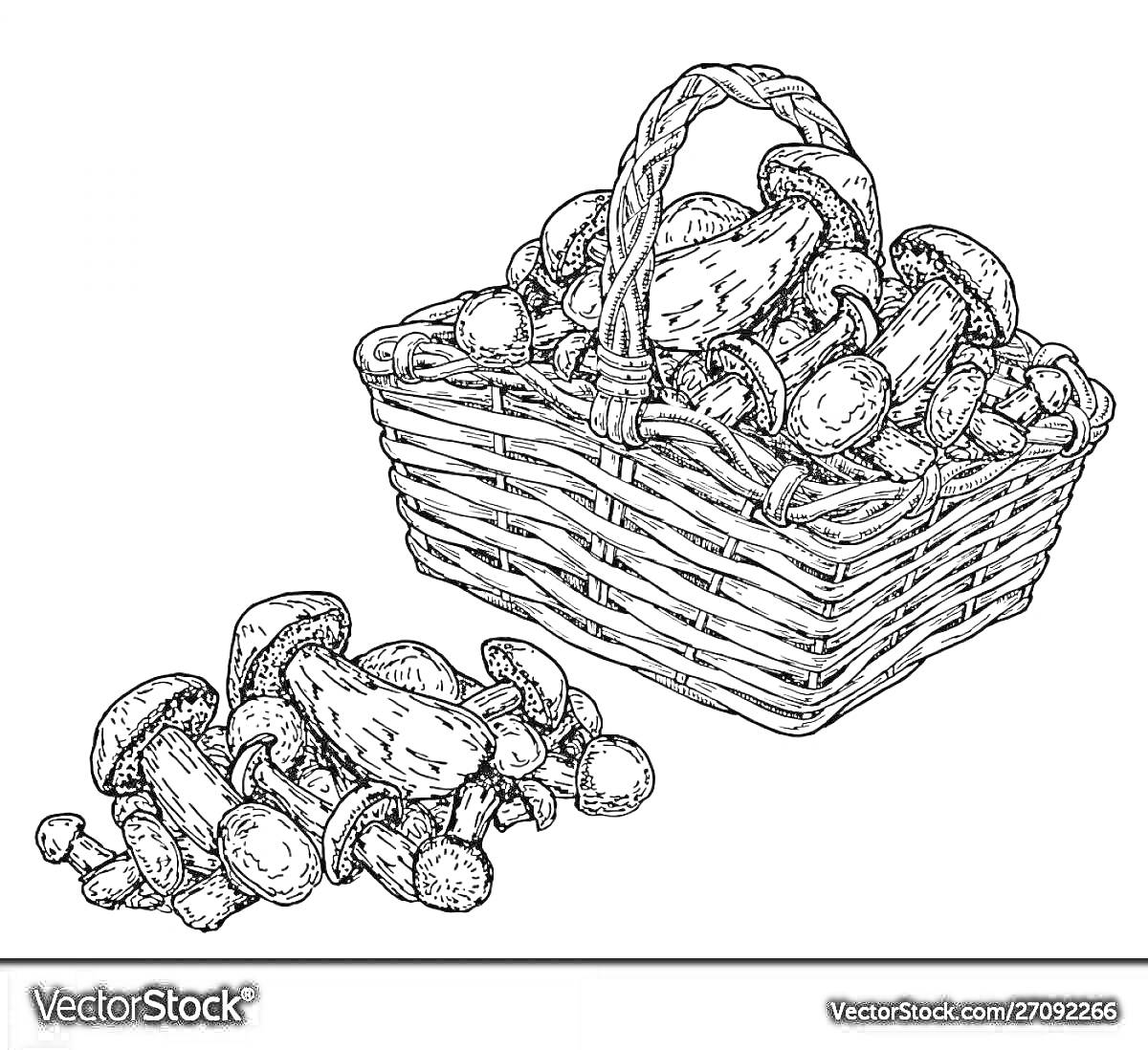 Раскраска Корзина с грибами и рядом лежащие грибы