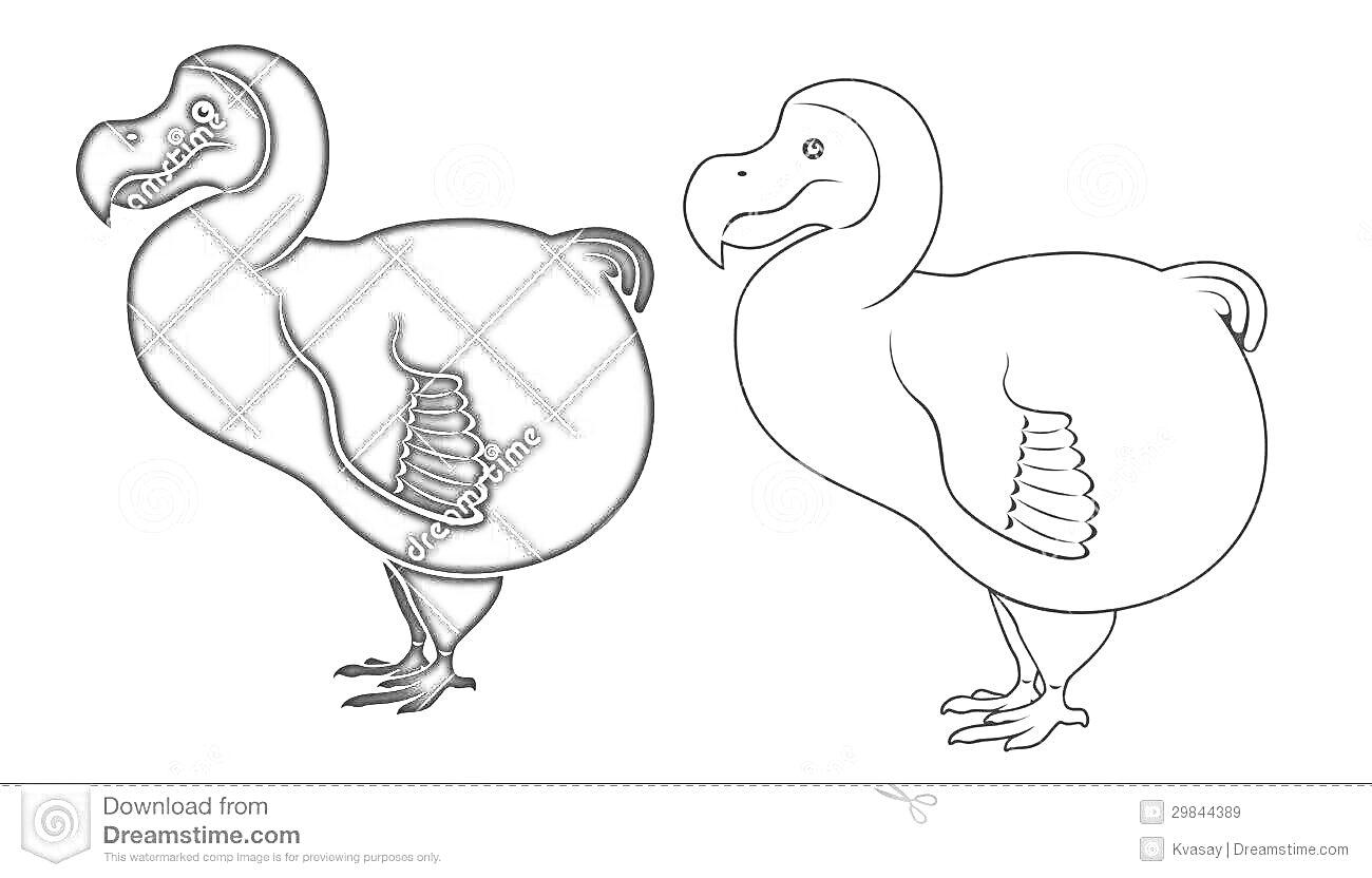 Раскраска Две додо птицы, одна закрашенная чёрным, другая — чёрно-белая раскраска