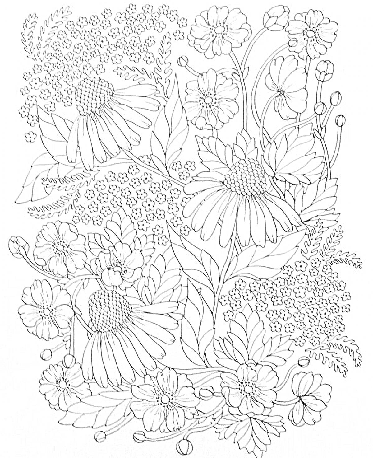 На раскраске изображено: Цветы, Папоротник, Крупные цветы, Мелкие цветы, Листья