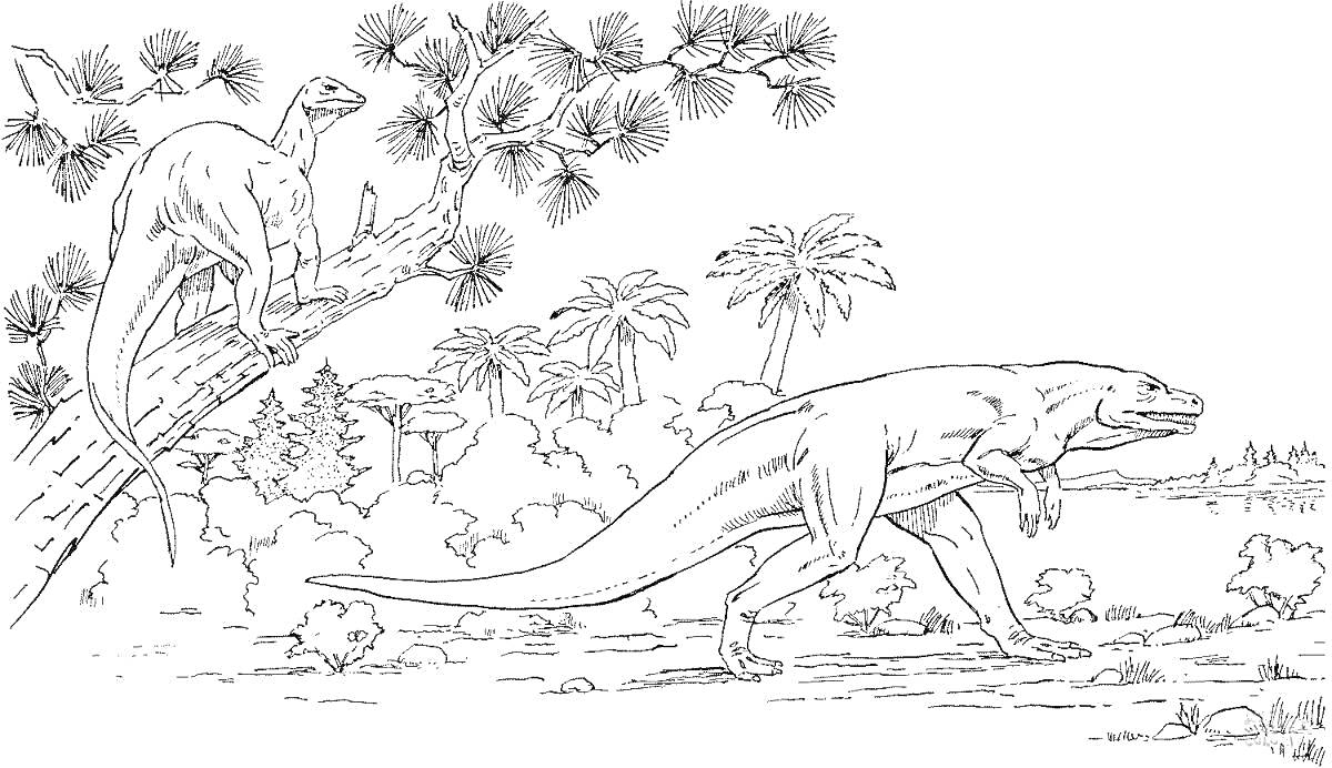 Раскраска Мегалозавр на земле и динозавр на дереве в доисторическом лесу