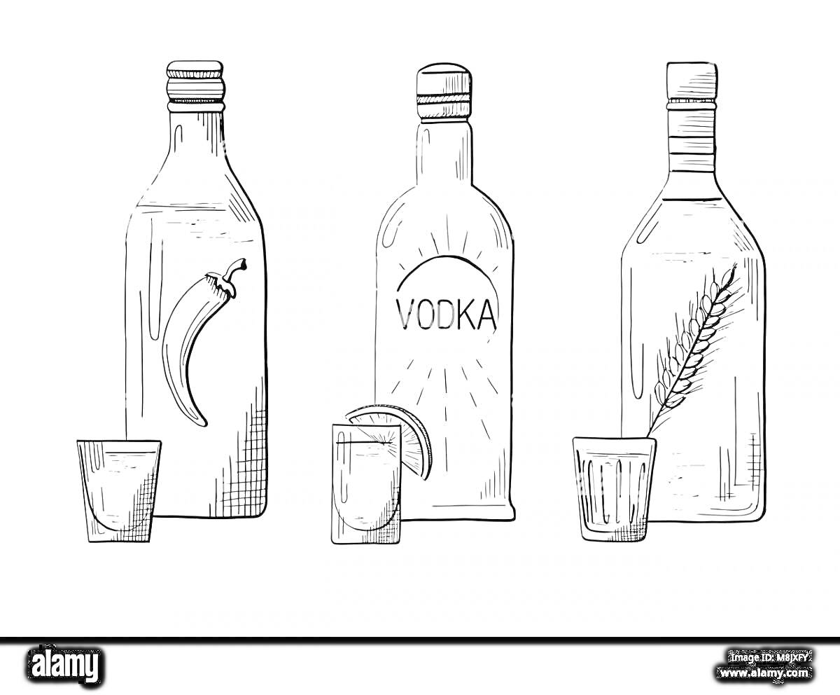 На раскраске изображено: Бутылка, Стопка, Перец, Лимон, Колосок, Алкоголь