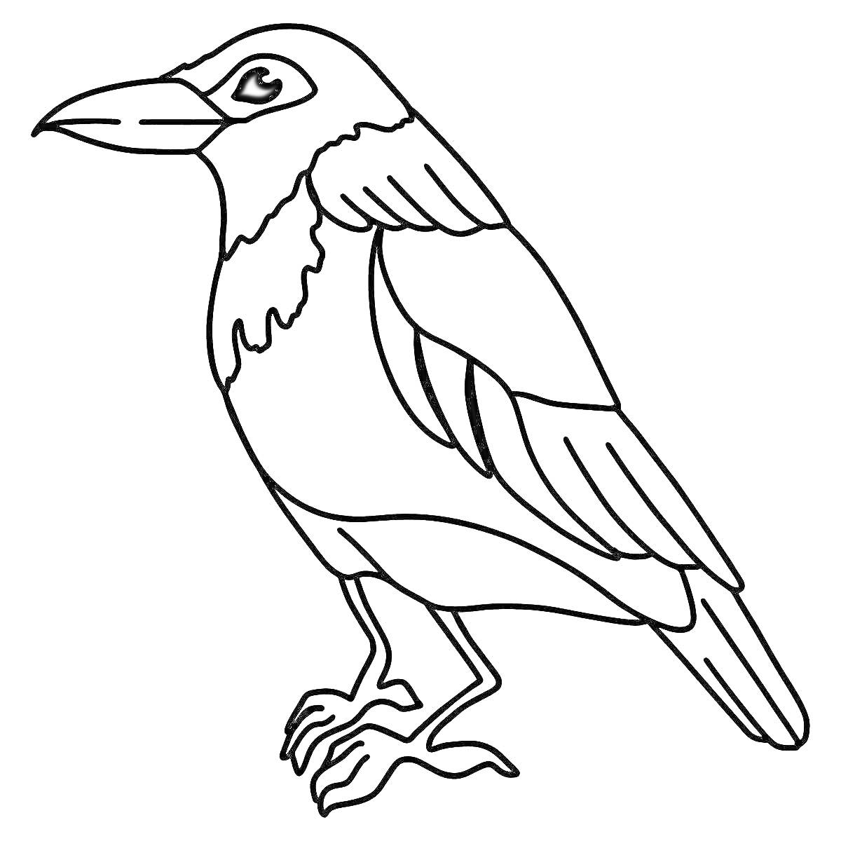 На раскраске изображено: Птица, Для детей, 6 лет, 7 лет, Животные, Обучение, Искусство, Контурные рисунки