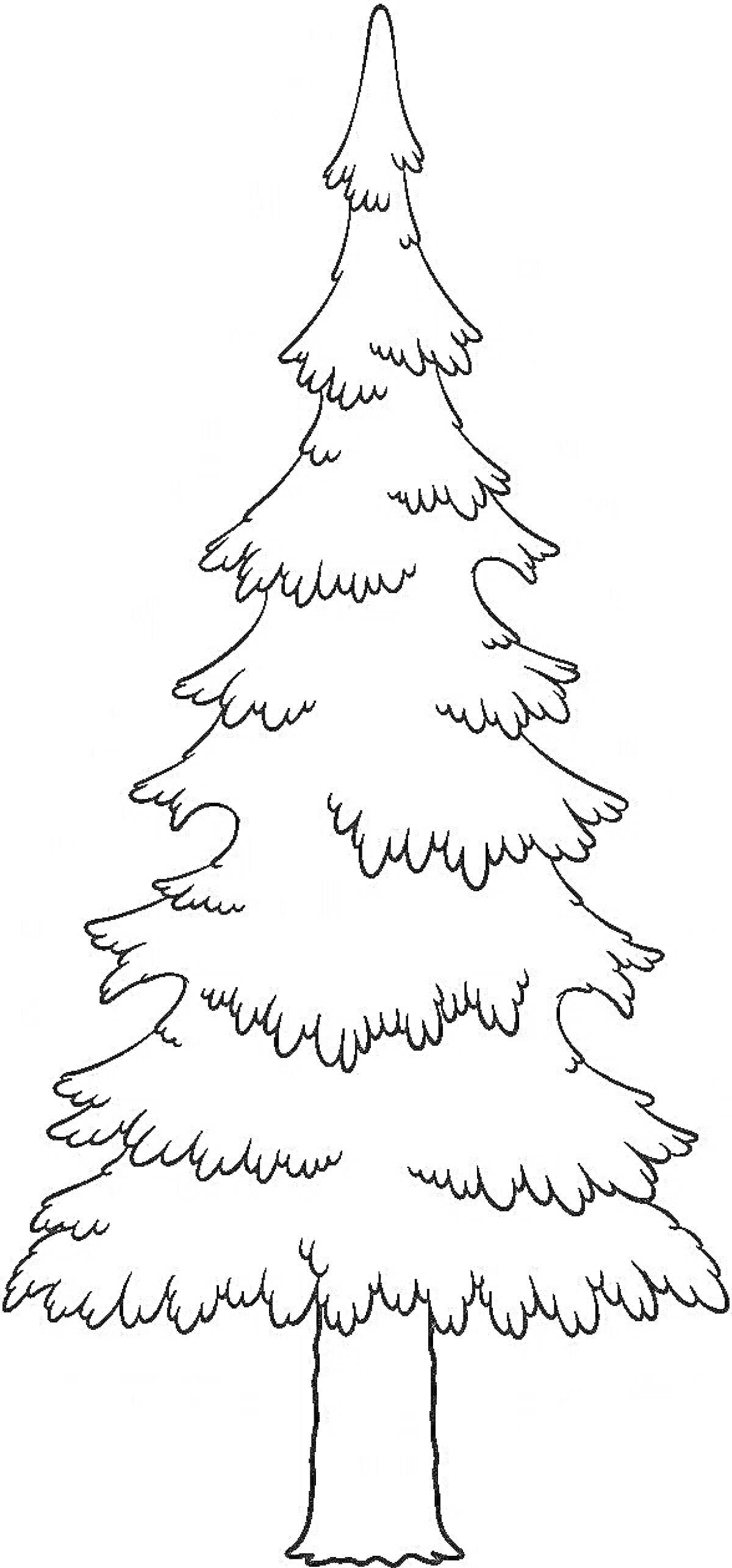 На раскраске изображено: Хвойные деревья, Новогодняя елка, Лес