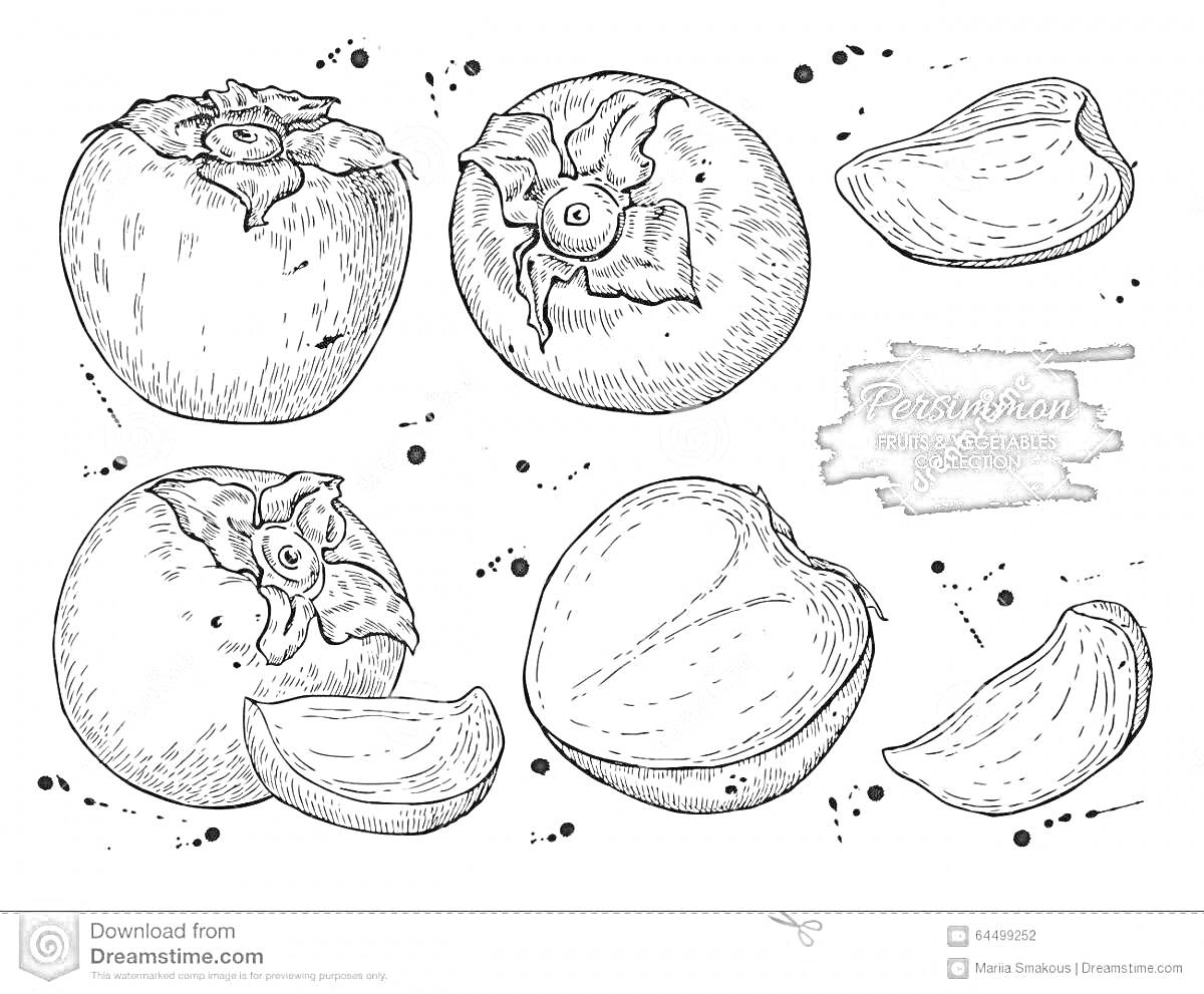Раскраска Целые и разрезанные плоды хурмы, ломтики хурмы, чернильные пятна, надпись 