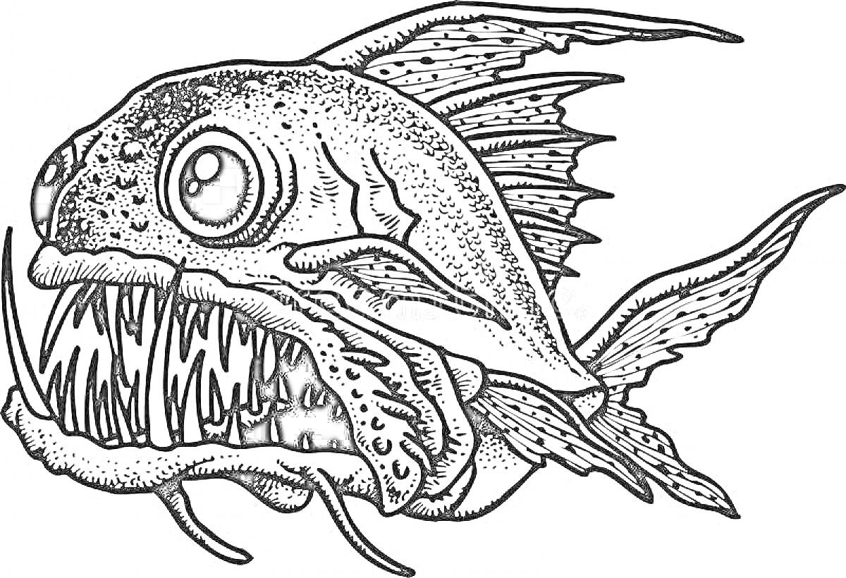 На раскраске изображено: Пиранья, Рыба, Зубы, Плавники, Чешуя, Подводный мир, Контурные рисунки