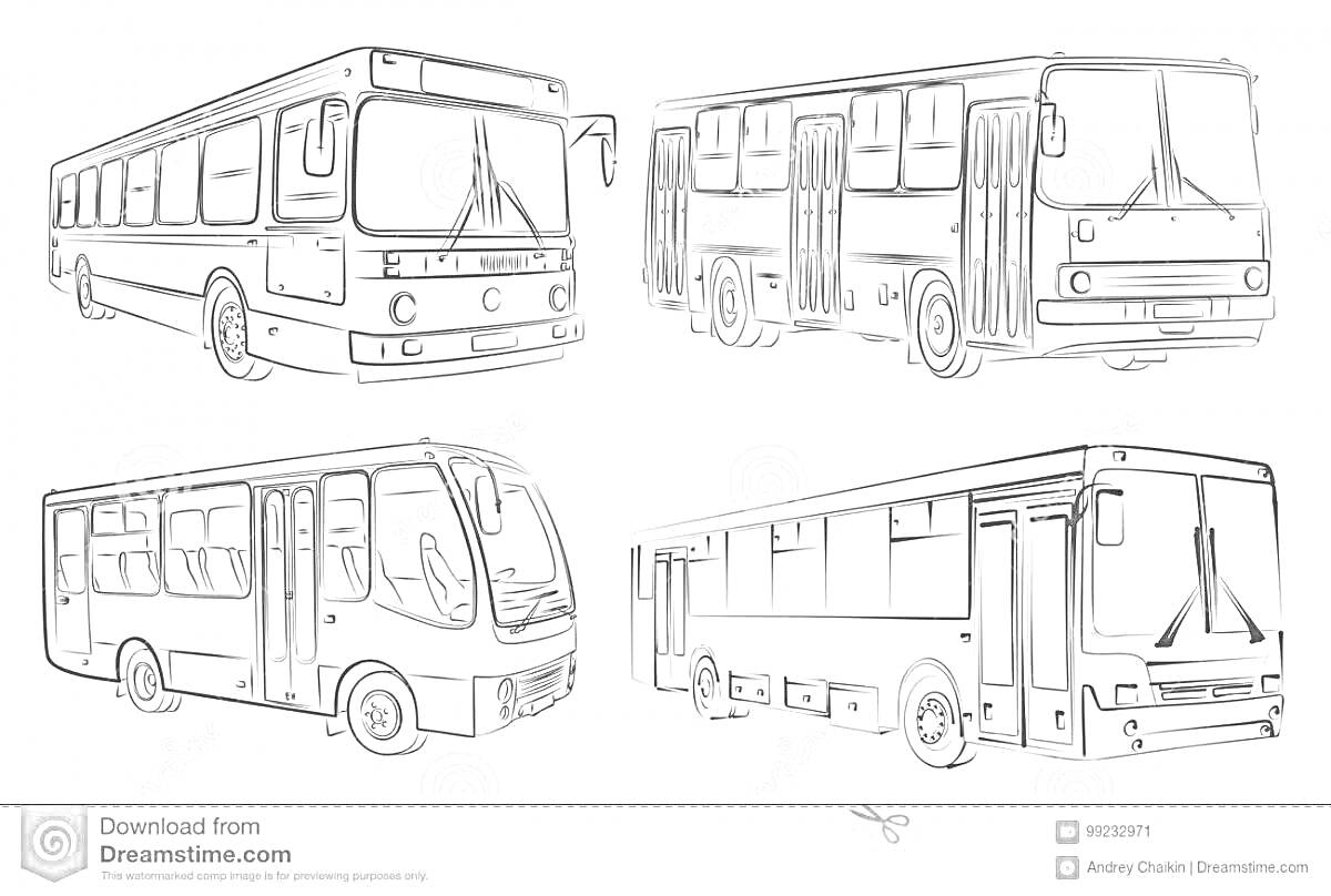 Раскраска Четыре автобуса НефАЗ, вид сбоку и спереди