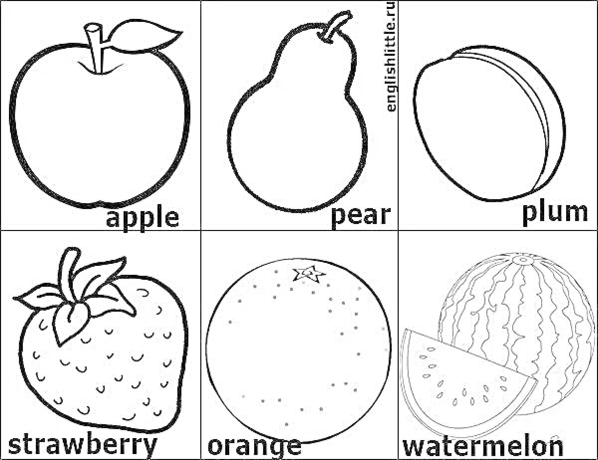 Раскраска Apple, Pear, Plum, Strawberry, Orange, Watermelon