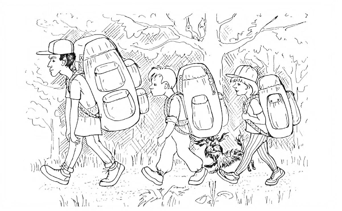 На раскраске изображено: Поход, Собака, Лес, Деревья, Природа, Ботинки, Шляпа, Человек, Рюкзак