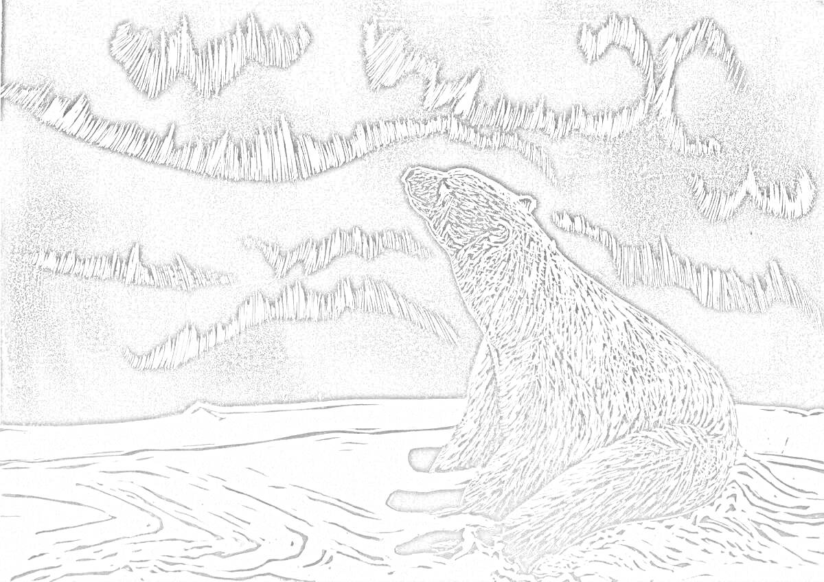 На раскраске изображено: Северное сияние, Медведь, Ночь, Природа, Арктика, Зимний пейзаж