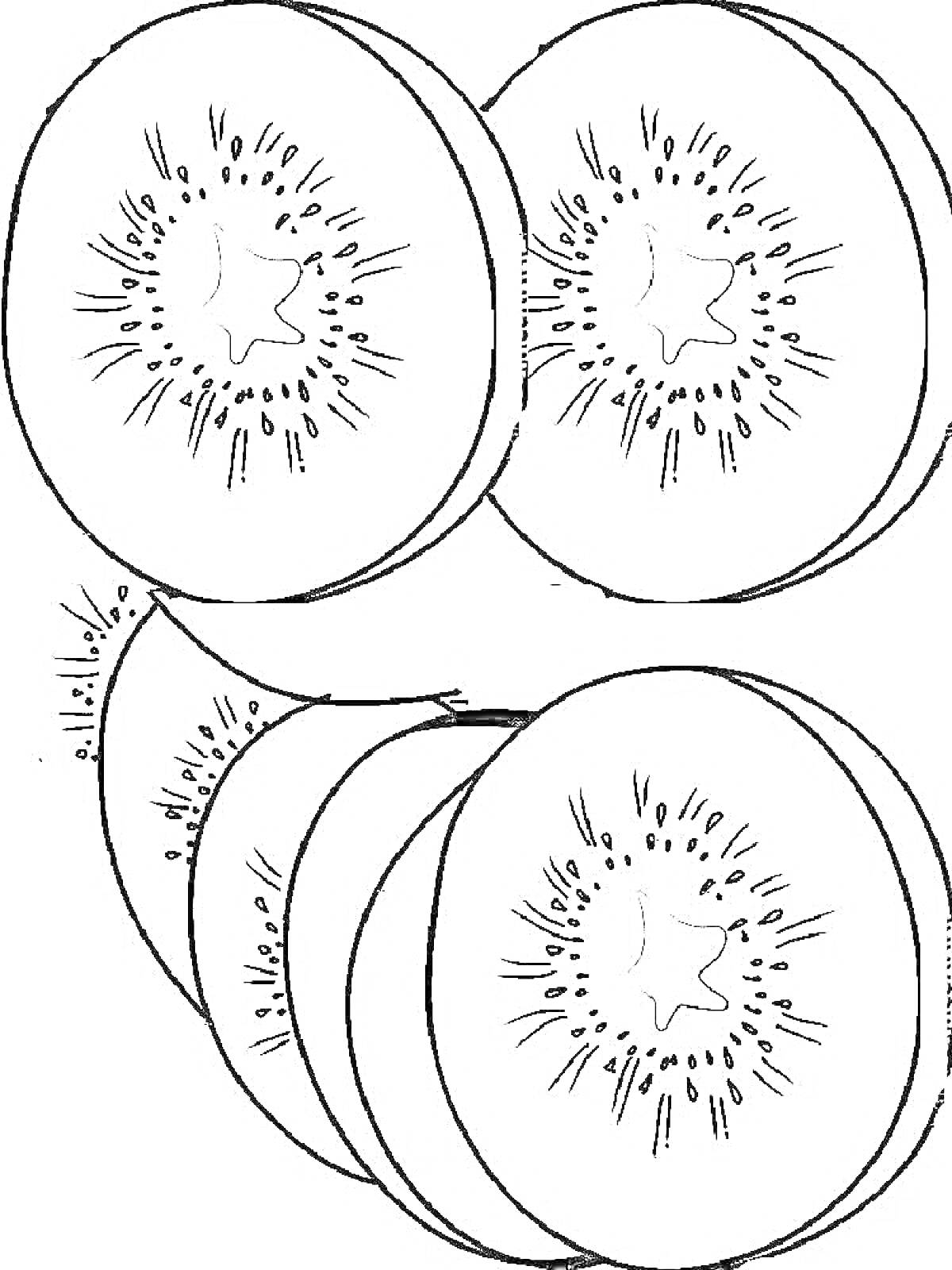 На раскраске изображено: Киви, Фрукты, Ломтики, Круги, Еда, Здоровое питание