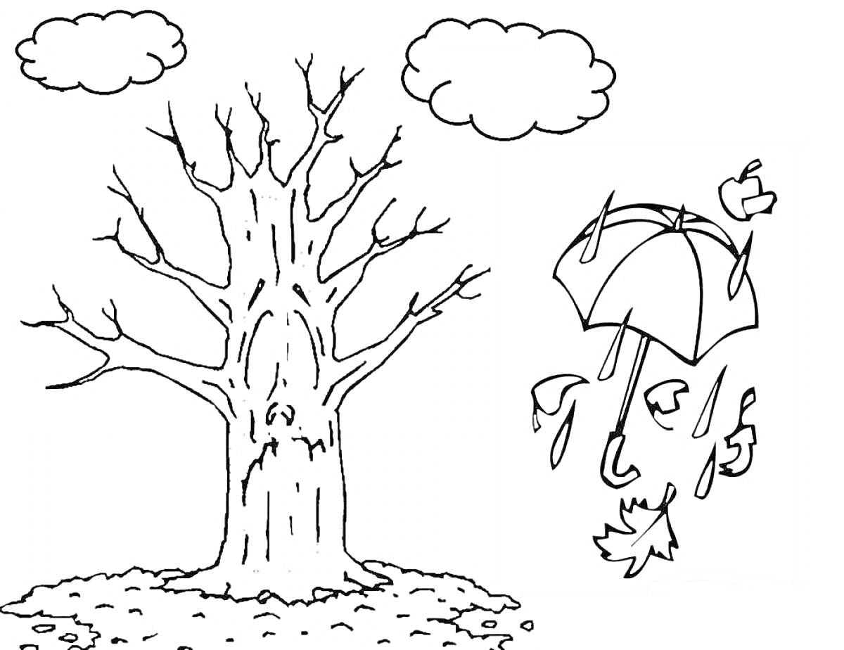 Раскраска Дерево без листьев, облака, зонтик с каплями дождя и осенними листьями