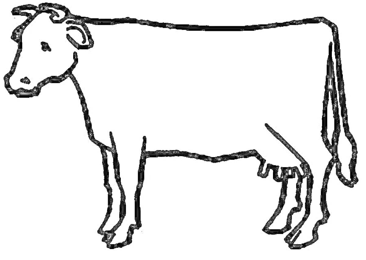 На раскраске изображено: Корова, Животные, Сельское хозяйство, Обучение, Ферма, Для детей
