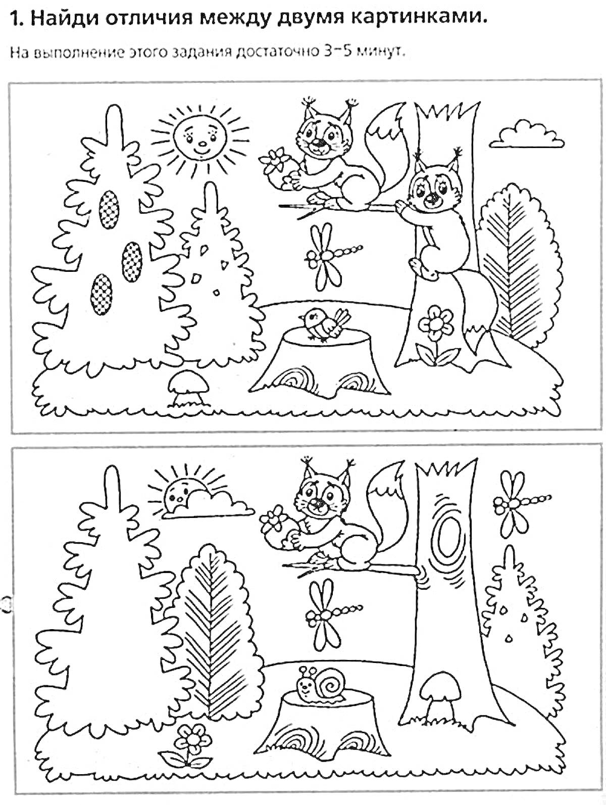 Раскраска Найди отличия между двумя картинками - белочки на деревьях, солнце, облако, ёлка, цветы, бабочки, бревно с грибом, травка, лес