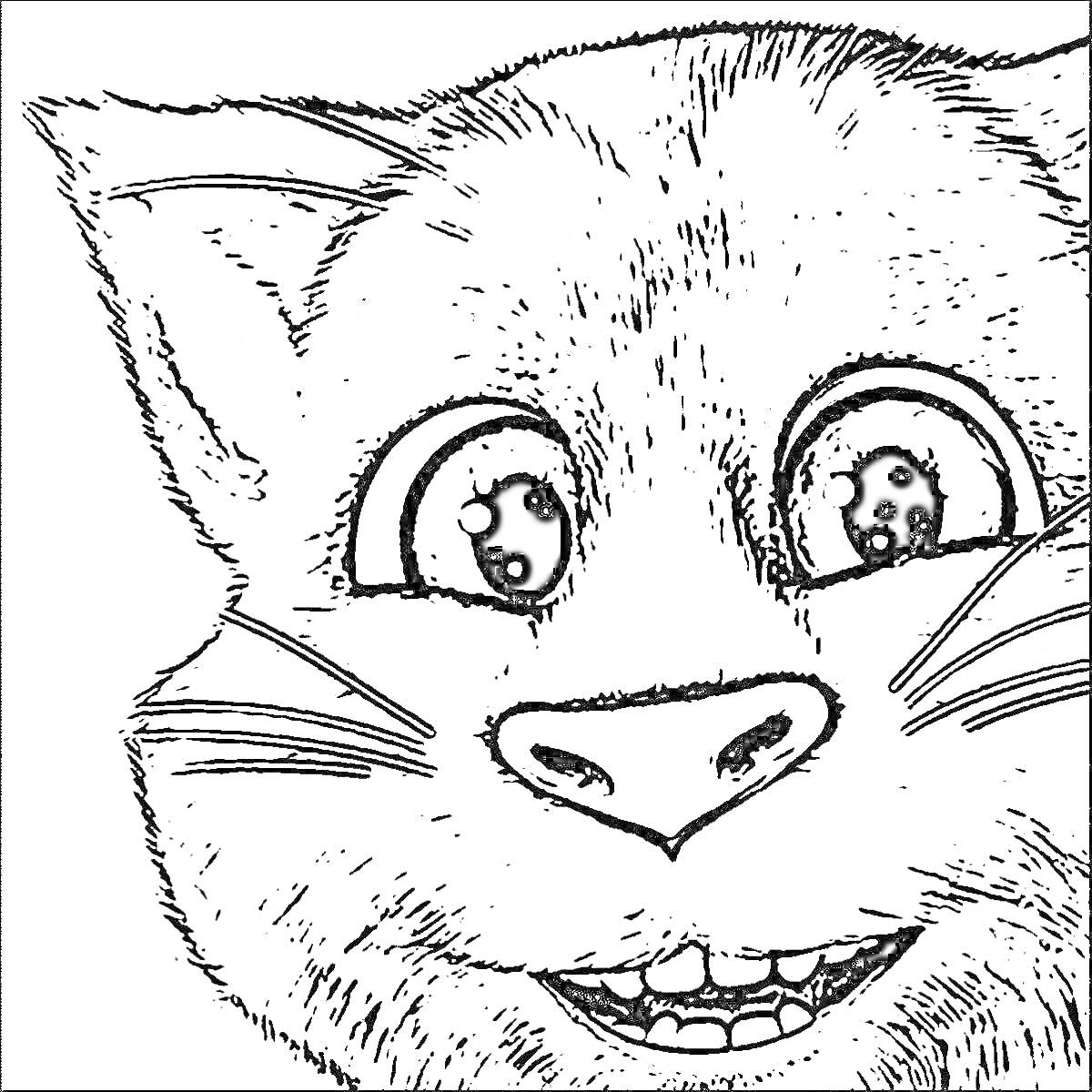 Раскраска Морда кота с улыбкой и большими глазами