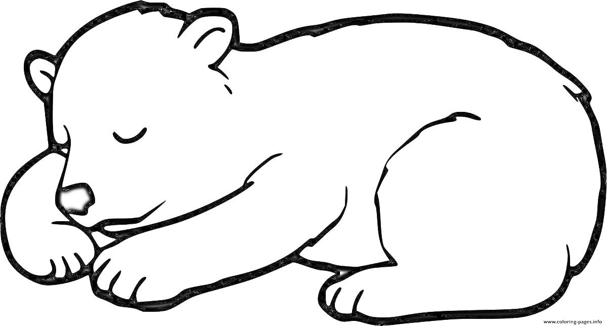 На раскраске изображено: Медведь, Берлога, Для детей, Зима, Сон, Животные, Контурные рисунки