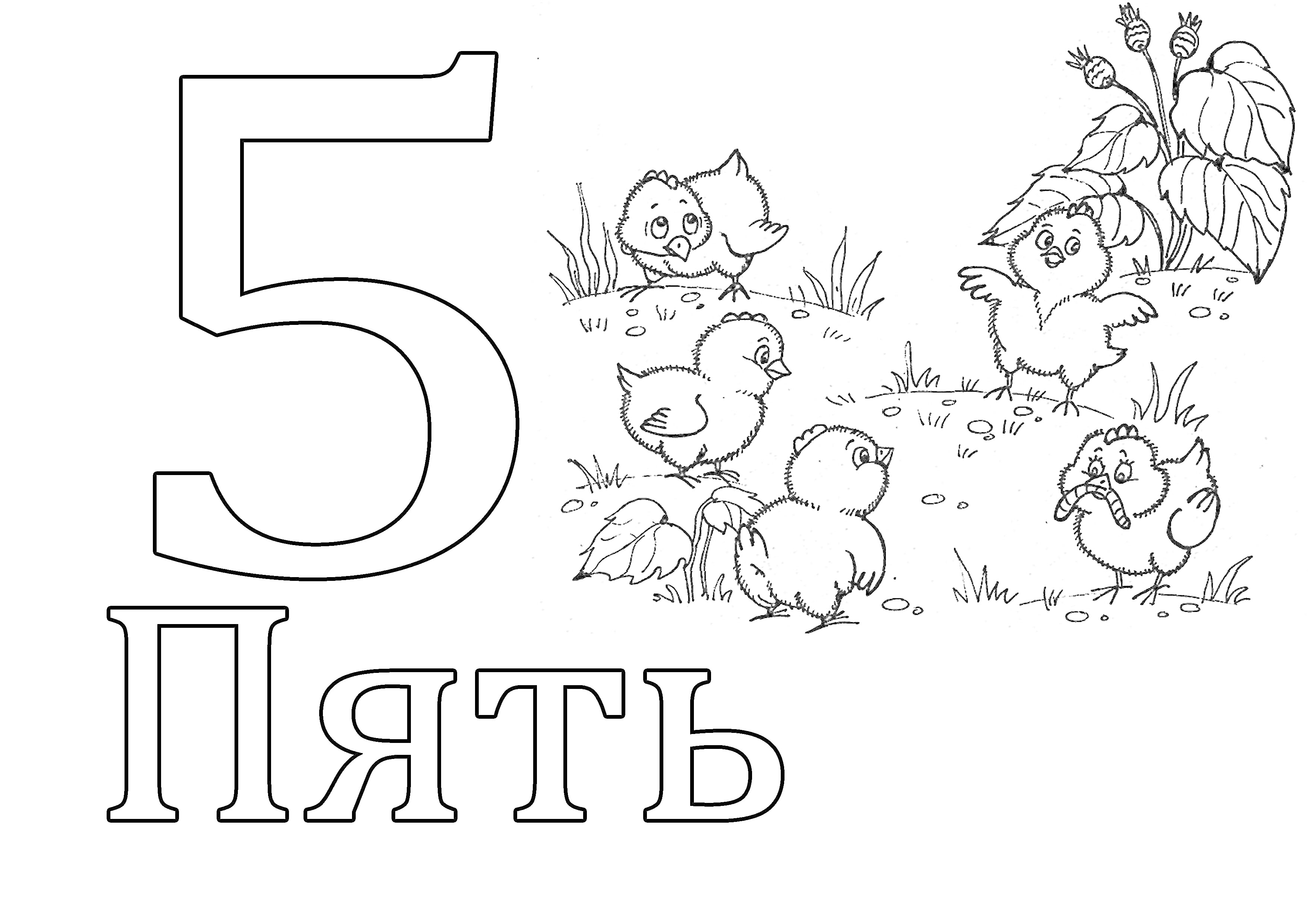 Раскраска Пять цыплят на травке с растениями