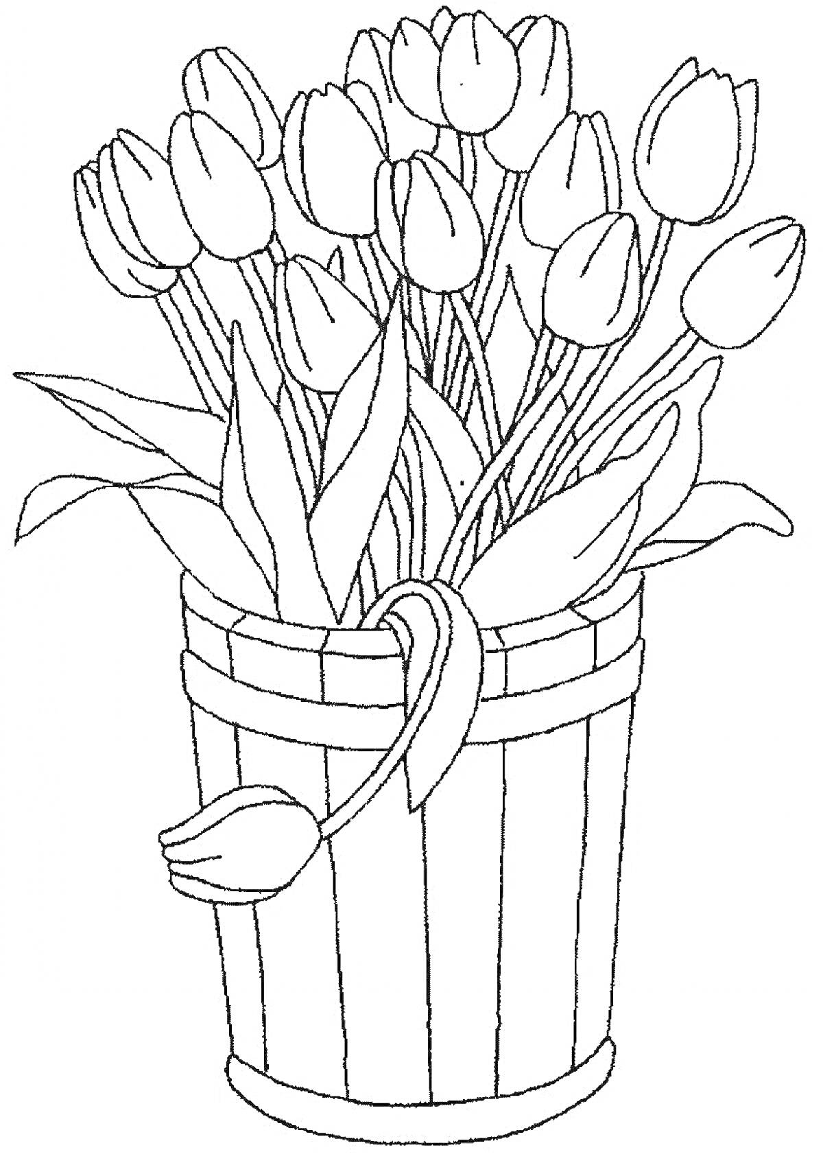 На раскраске изображено: Цветы, Тюльпаны