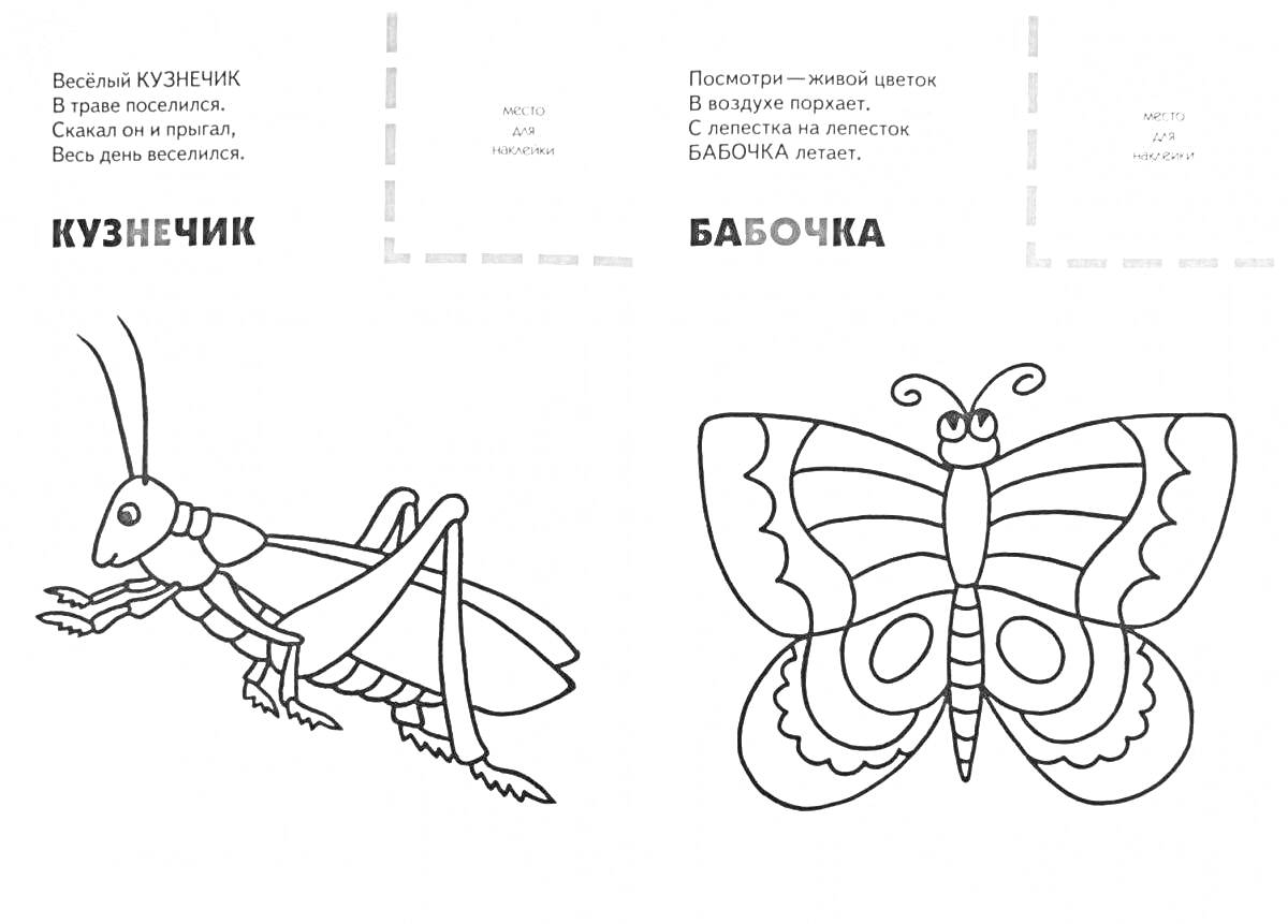 На раскраске изображено: Кузнечик, Бабочка, Окружающий мир, 1 класс, Учеба, Природа