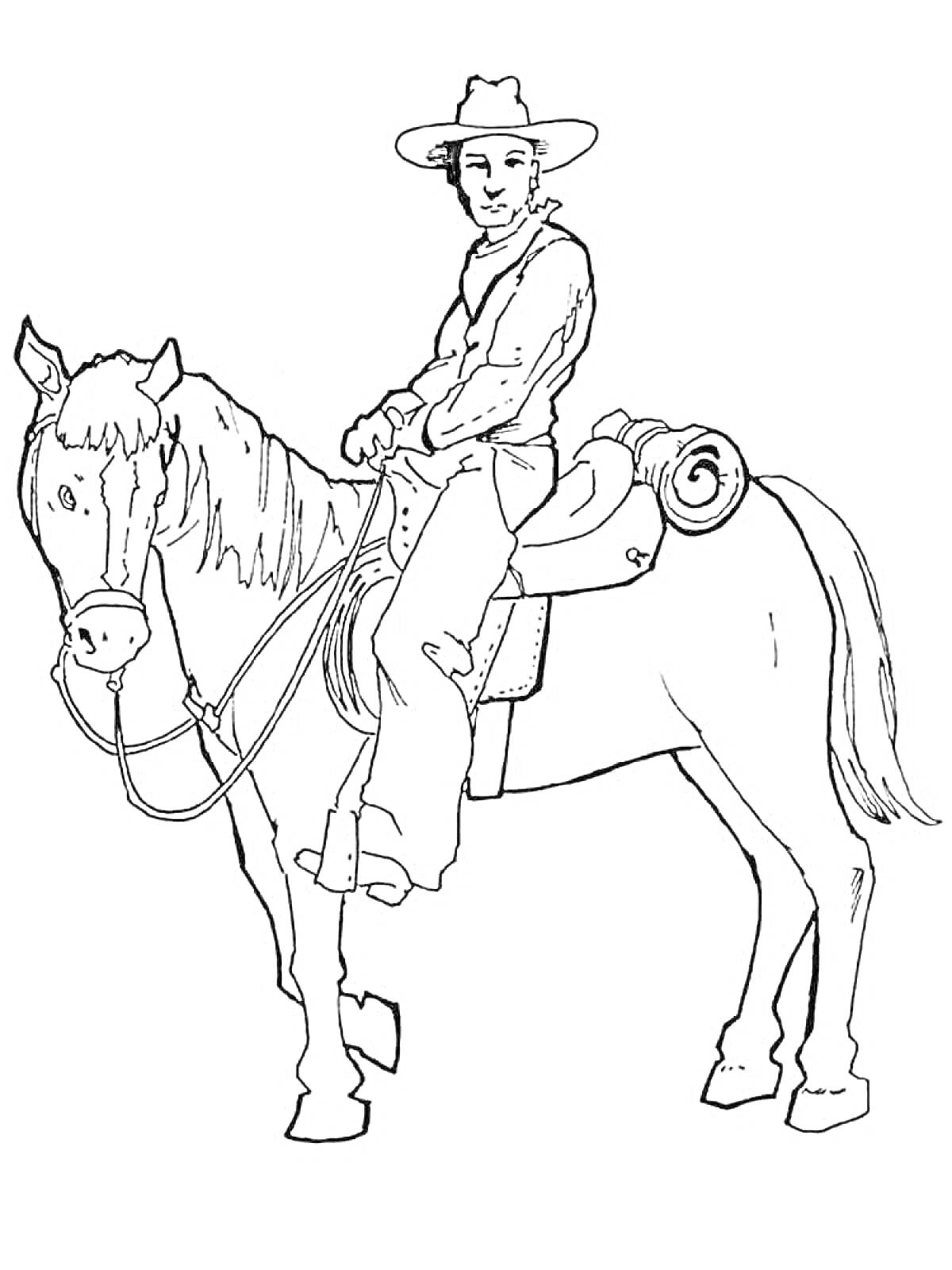 На раскраске изображено: Лошадь, Седло, Шляпа, Уздечка, Верховая езда, Дикий Запад, Мужской персонаж, Вестерн