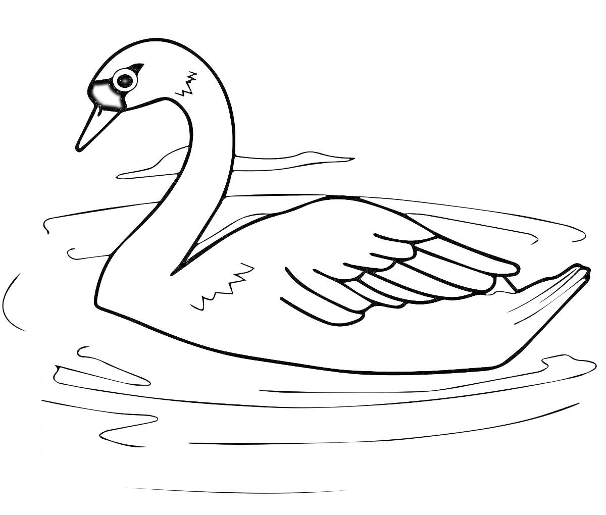 Раскраска Лебедь, плывущий по воде