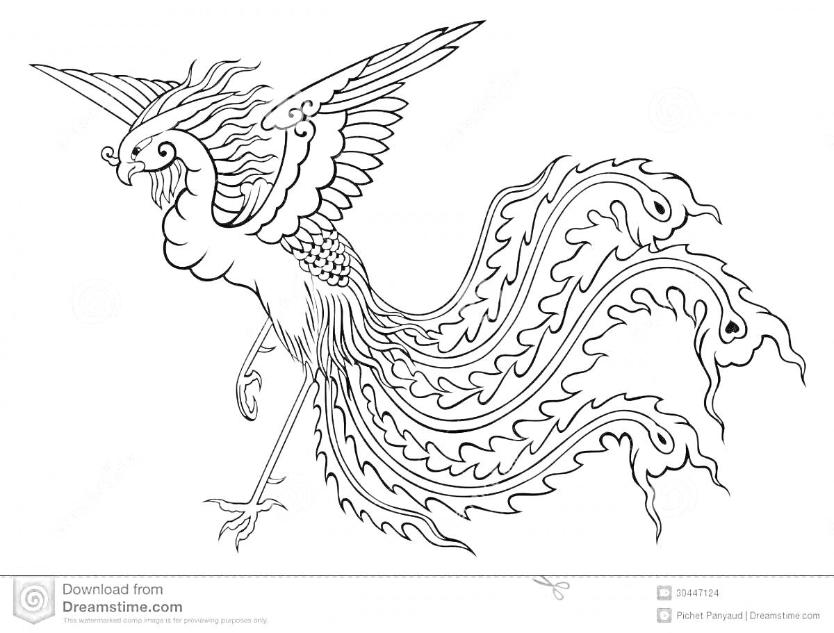 На раскраске изображено: Феникс, Птица, Крылья, Хвост, Огонь, Мифические существа