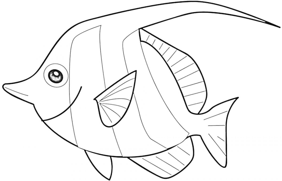 Раскраска Рыба с полосками и плавниками