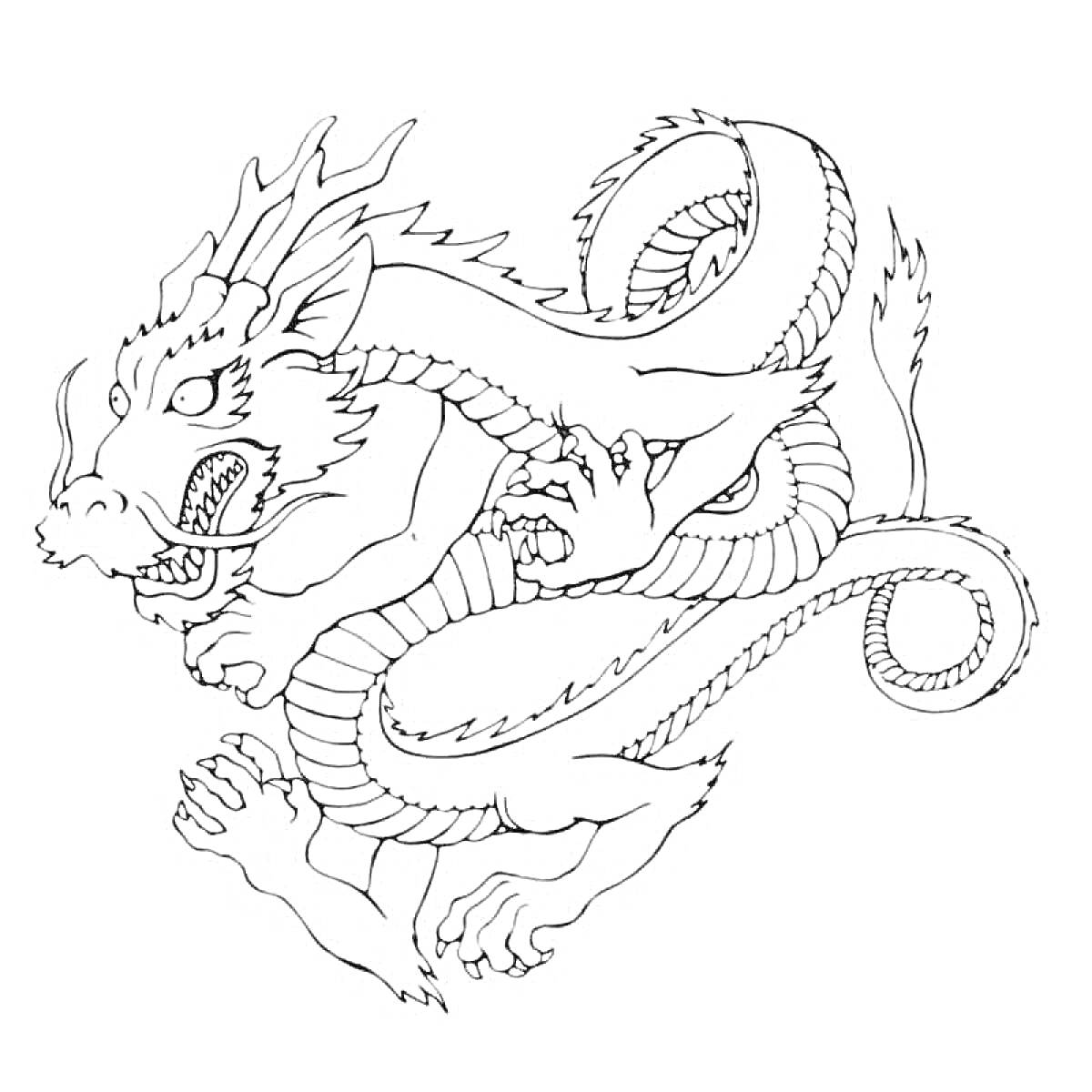 На раскраске изображено: Китайский дракон, Дракон, Длинное тело, Когти, Чешуя, Искусство, Китайская культура, Контурные рисунки, Мифические существа, Узоры