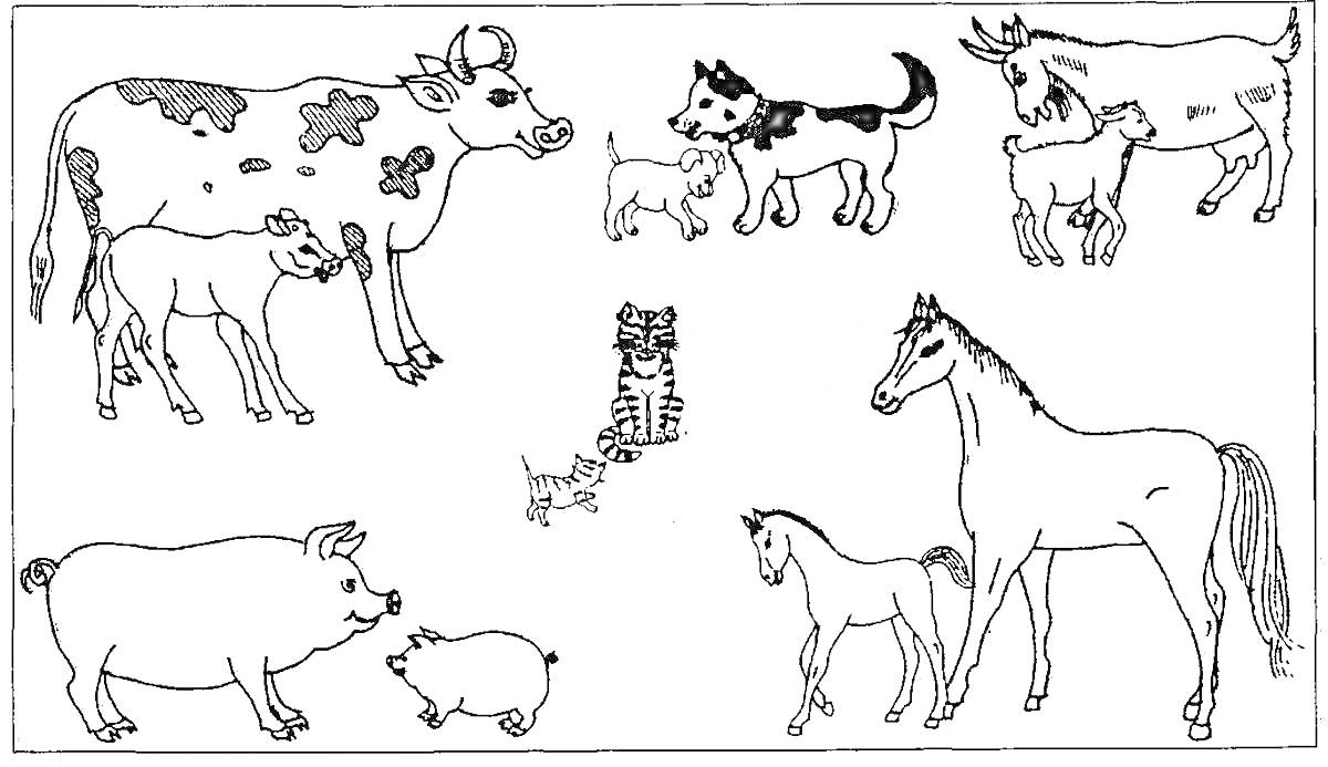 На раскраске изображено: Домашние животные, Корова, Теленок, Собака, Лошадь, Жеребёнок, Для детей, 5-7 лет, Козел, Кот, Поросята, Свиньи