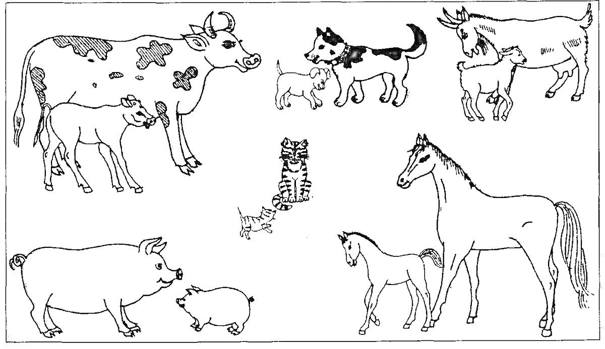 На раскраске изображено: Домашние животные, Корова, Телёнок, Собака, Лошадь, Жеребенок, Для детей, 5-7 лет, Козёл, Кот, Поросята, Свиньи