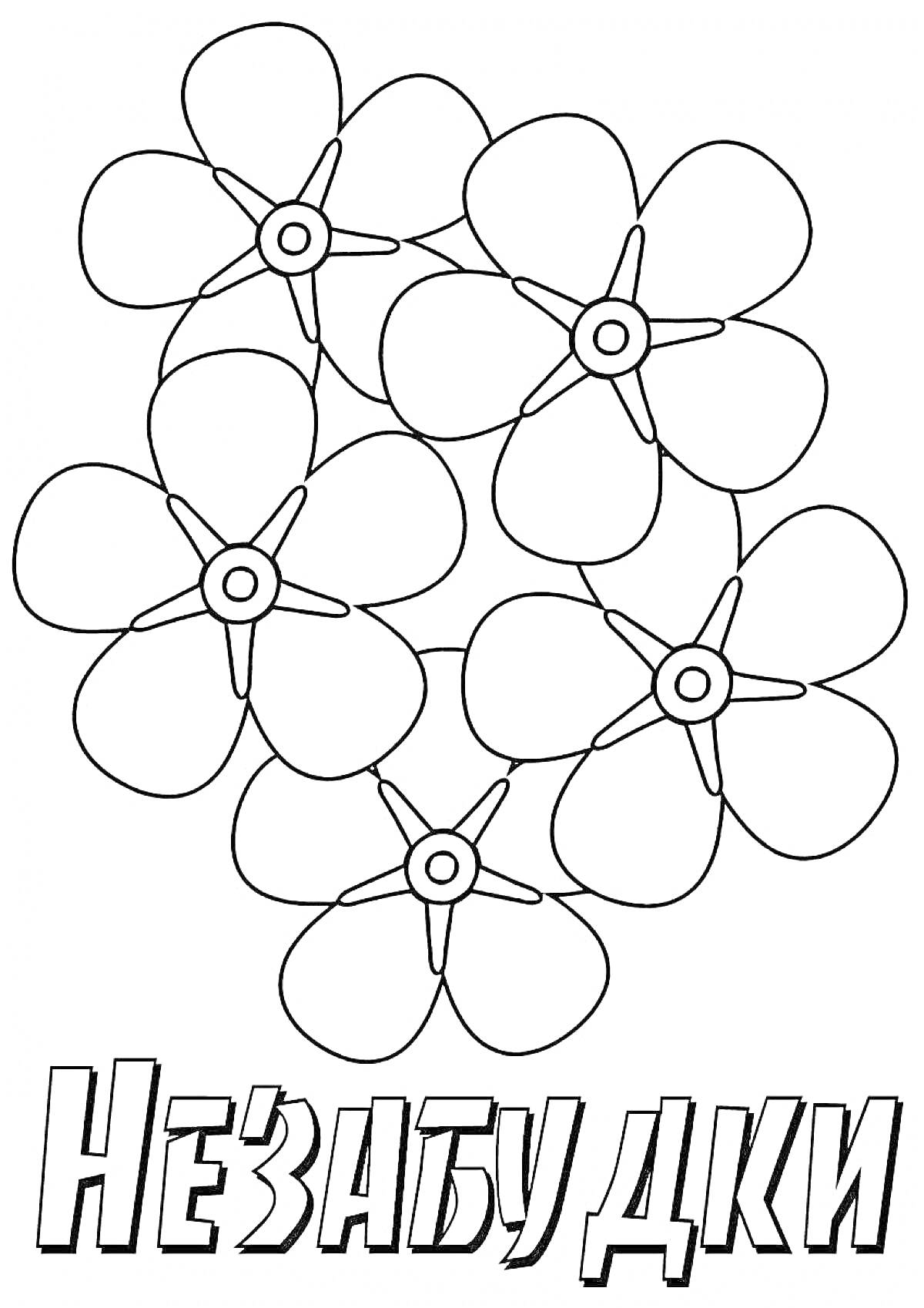 Раскраска Незабудки с пятью цветами