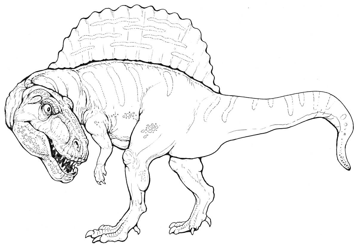 Раскраска Тарбозавр с большими зубами и массивным телом