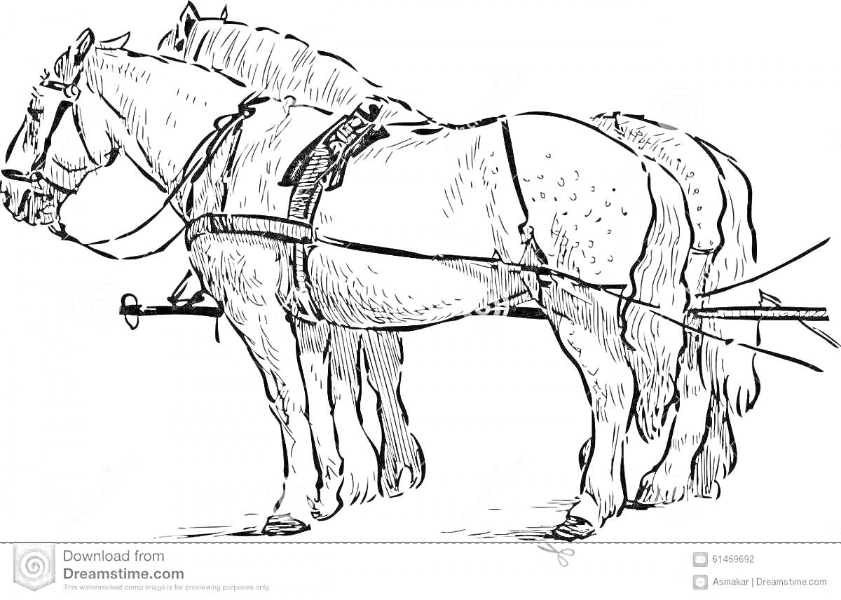 На раскраске изображено: Упряжка, Сани, Транспорт, Лошадь, Животные, Контурные рисунки