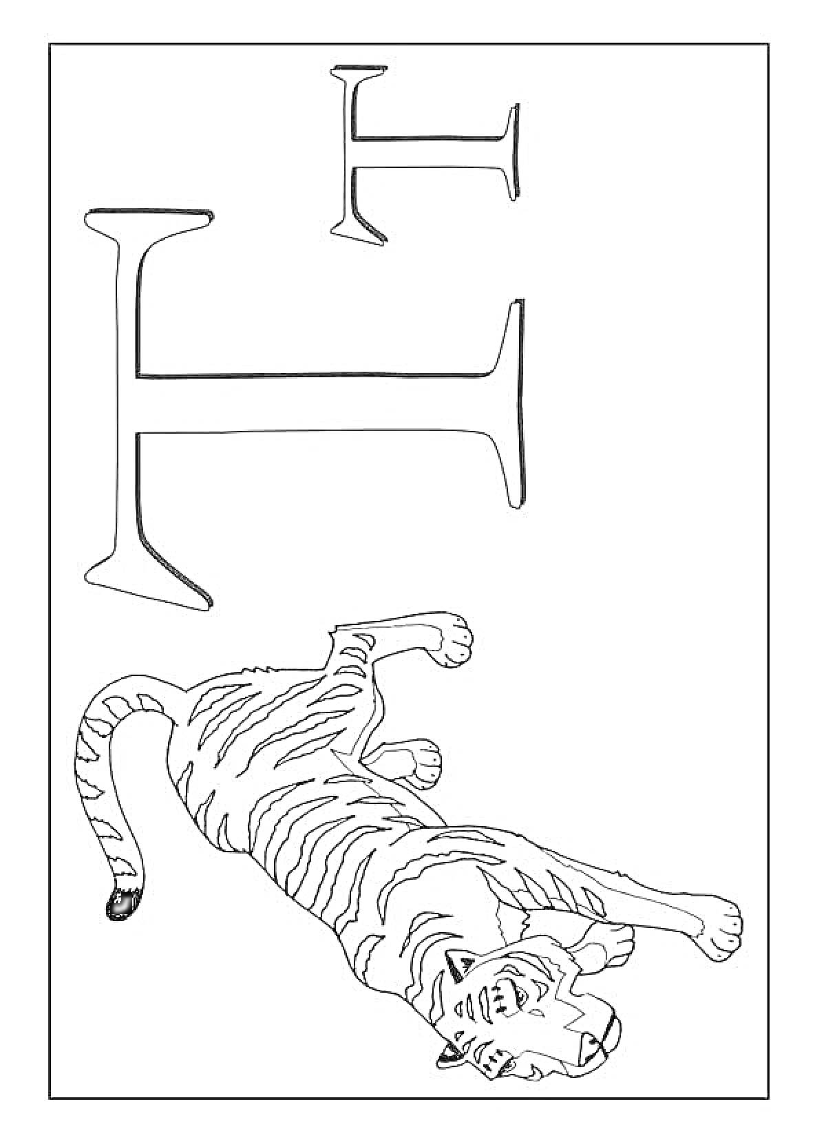 Раскраска Буква Т с лежащим тигром