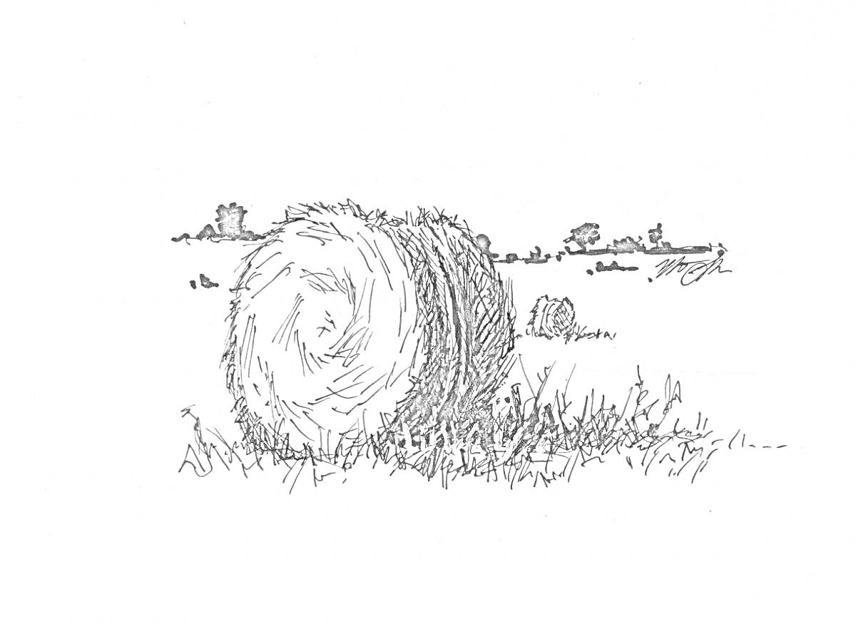 Раскраска Поле с рулоном сена и травой