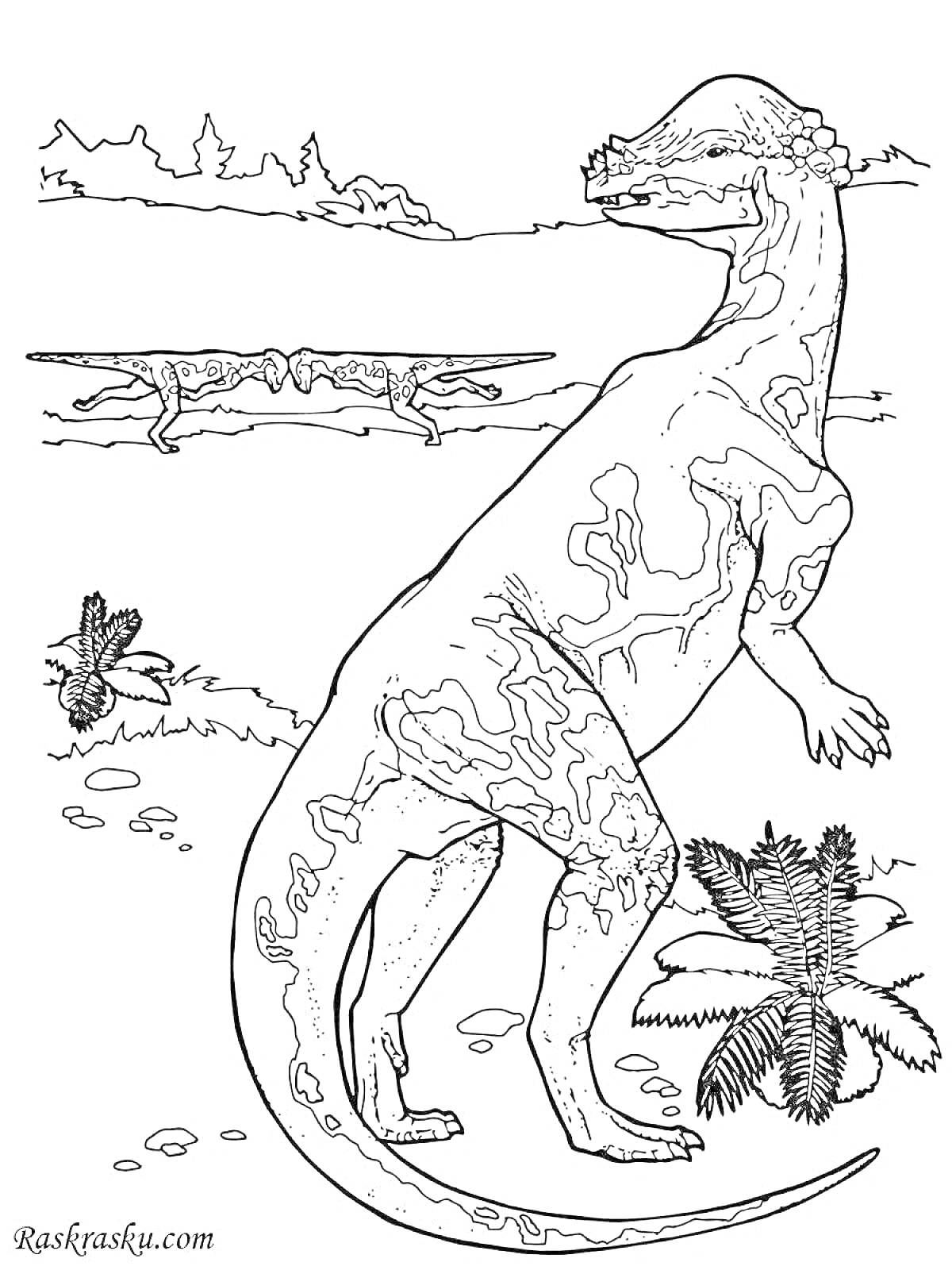 На раскраске изображено: Пахицефалозавр, Динозавр, Растительность, Вода, Пейзаж