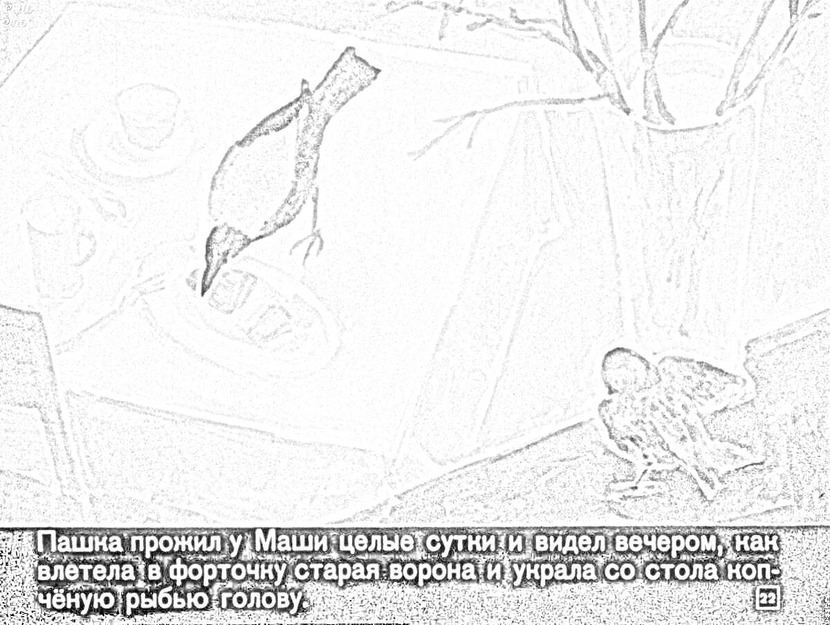 На раскраске изображено: Воробей, Подоконник, Стол, Посуда, Рыба, Паустовский, Иллюстрация