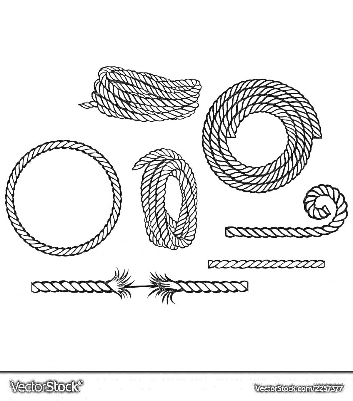 Раскраска Различные виды веревок: свернутая веревка, длинная свернутая по кругу веревка, круг из веревки, свитая веревка, закрученная веревка спиралью, прямые веревки, разорванная посередине веревка