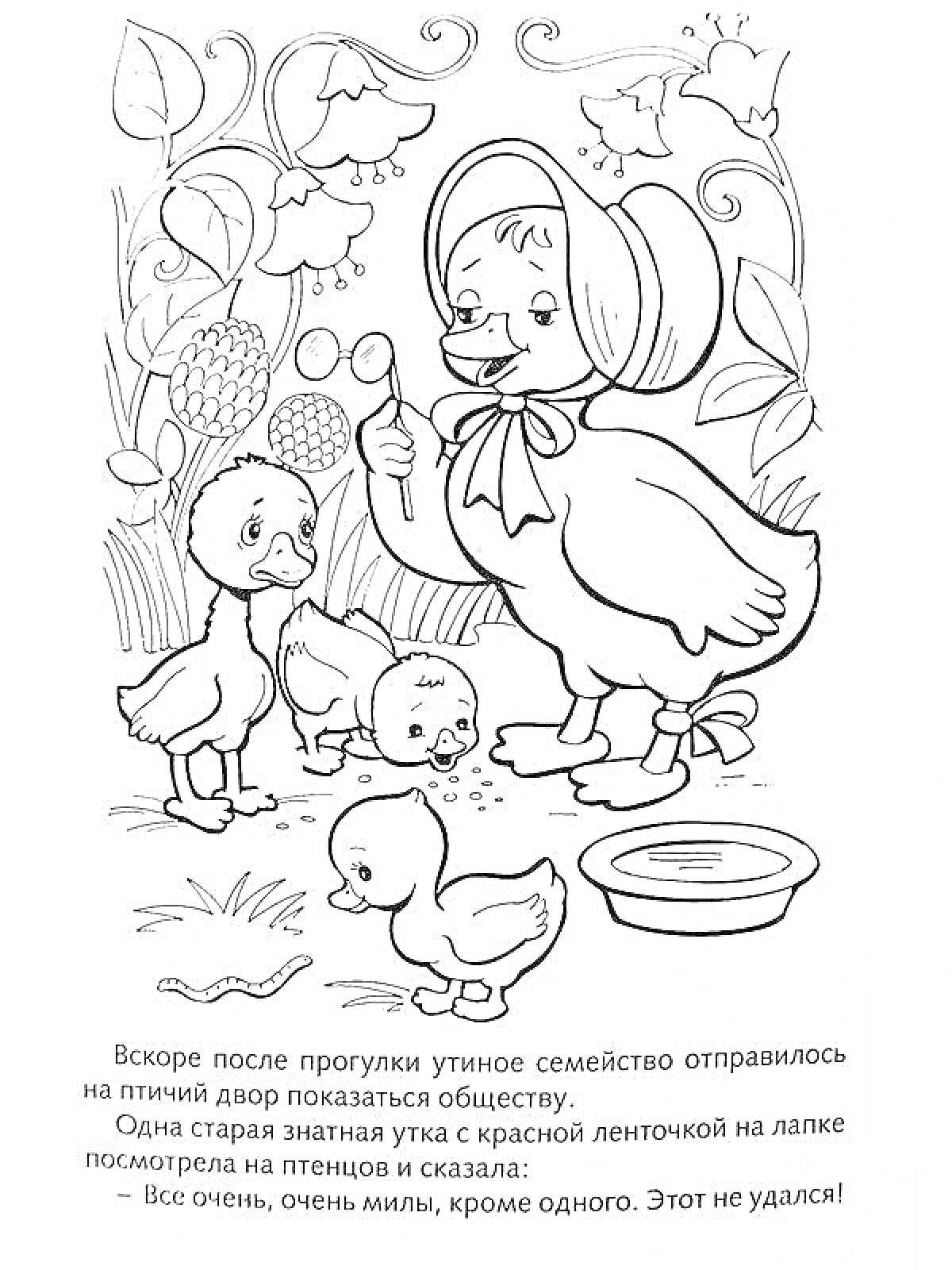 Раскраска Утиное семейство на прогулке — взрослая утка с красной ленточкой на шляпе, милые утята, бабочки, миска с водой и декоративные растения.
