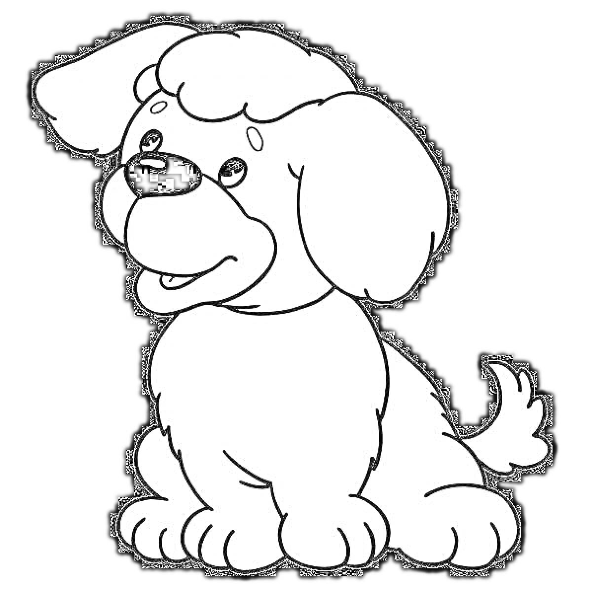 Раскраска Собака с грустными глазами, сидящая с поднятым хвостом