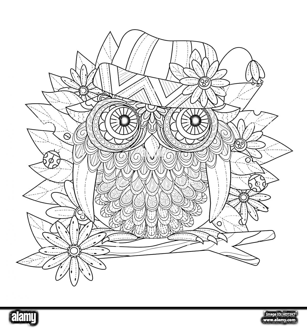 На раскраске изображено: Антистресс, Сова, Шляпа, Цветы, Листья, Узоры, Творчество