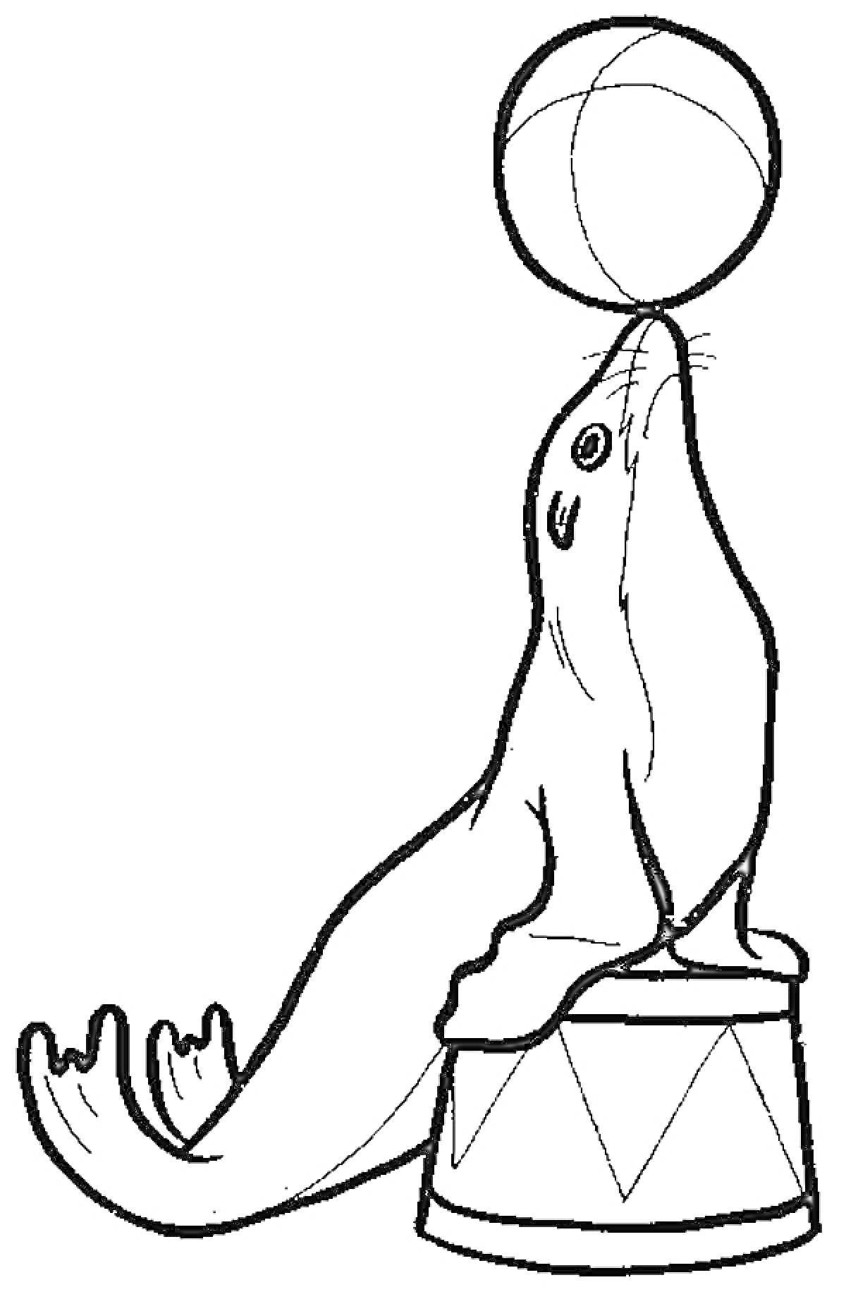 Раскраска Морской котик, сидящий на тумбе и балансирующий мячом на носу